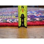 3'4"x5'10" New Persian Hamadan Bird Figurines Pure Wool Hand Knotted Oriental Rug - Image 6
